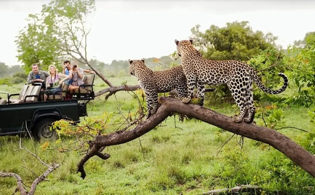 Yala National Park